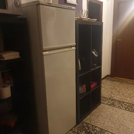 Ava Roma